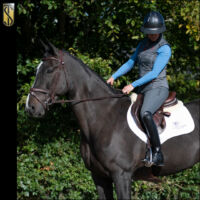 Allegro Sport Tights - Image 4